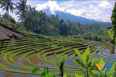 Viaje espiritual a Bali completa con las mejores playas – 11 días