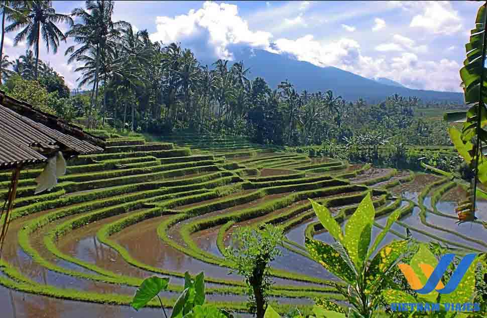 itinerarios por Bali