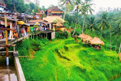 Tour esencial de Bali – 8 días