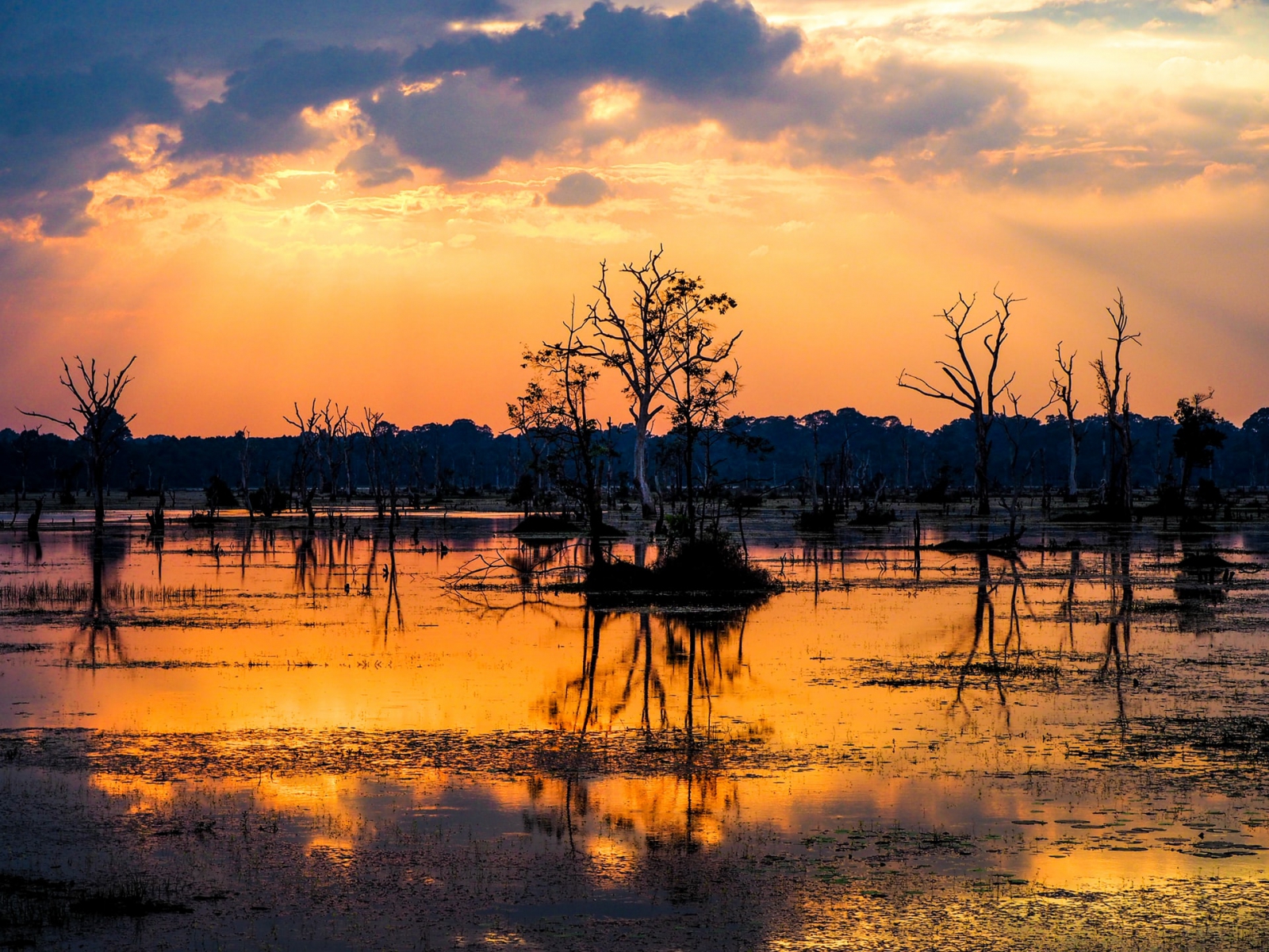 Guía viajar a Camboya 2022