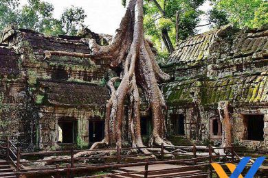 Viagem de norte a sul do Camboja em 13 dias