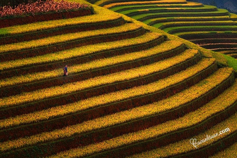 Melhor época para viajar para o vietnã