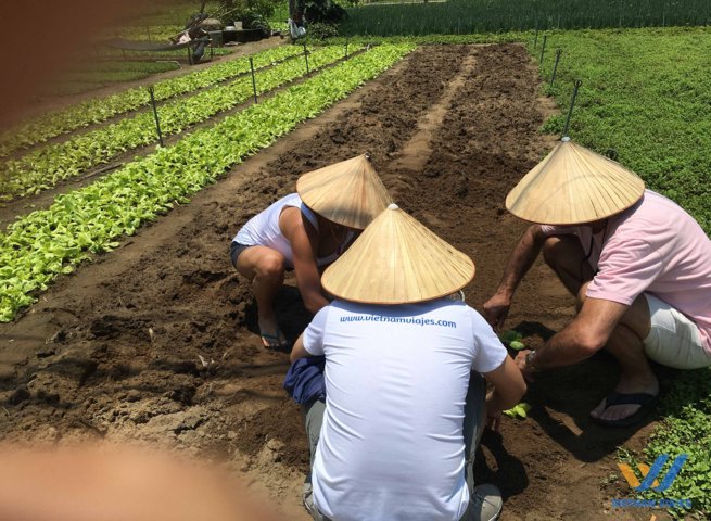 guía visitar hoian vietnam