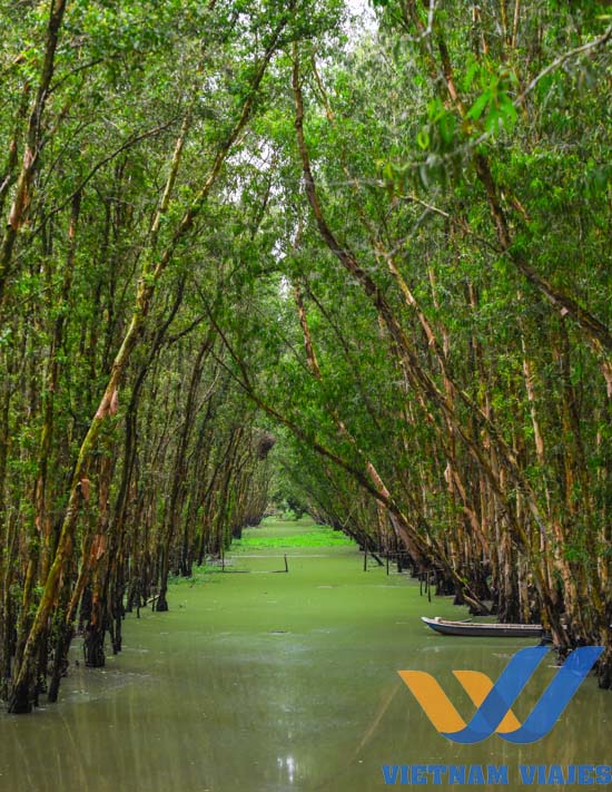 guia visitar delta mekong vietnam