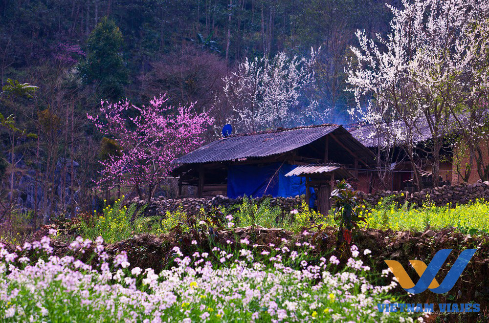cosas para ver en ha giang