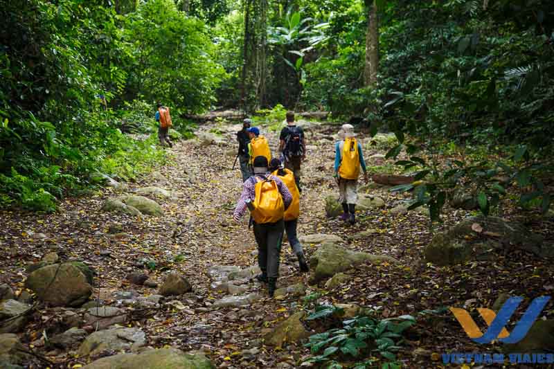 guía qué hacer en Phong Nha