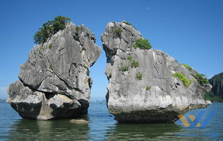 que ver en halong vietnam