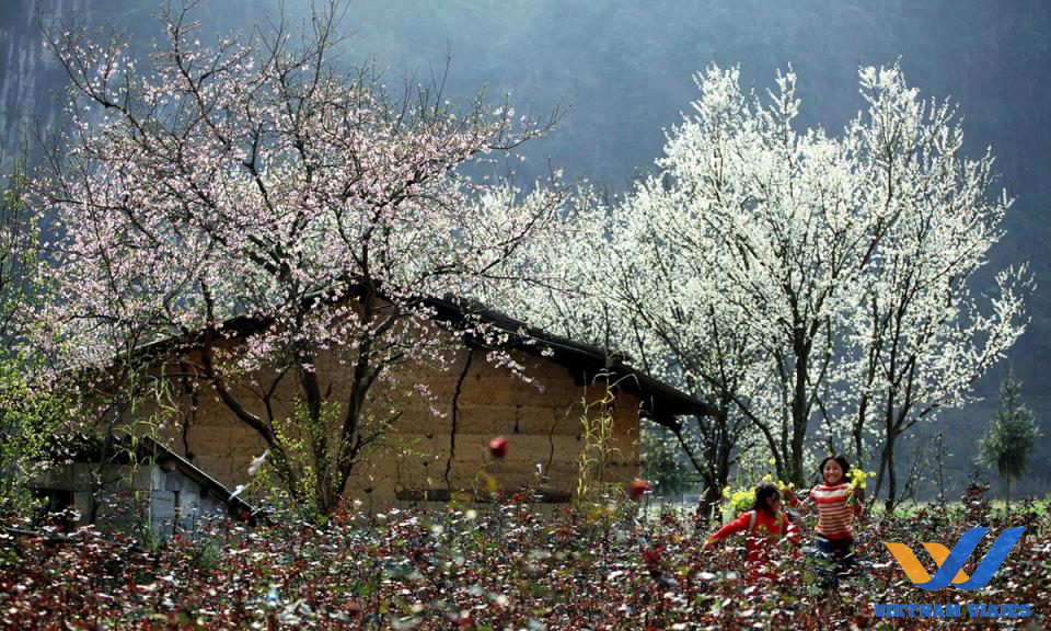 qué ver en ha giang, vietnam