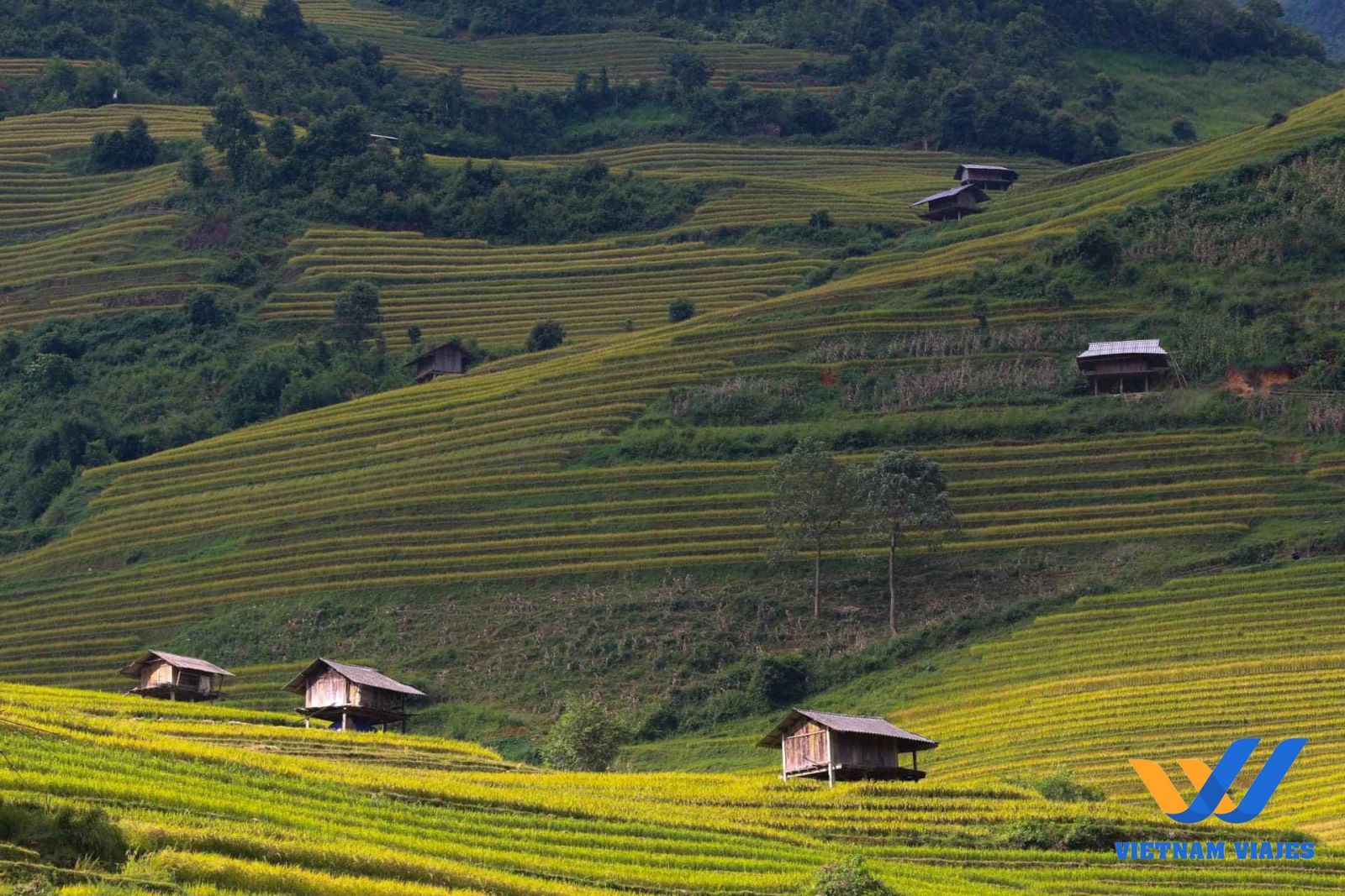 terrazas de arroz en ha giang, vietnam