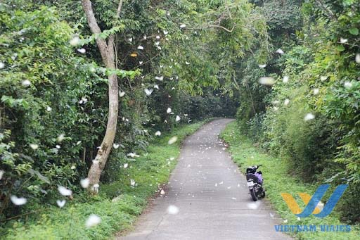 qué hacer en Ninh Binh