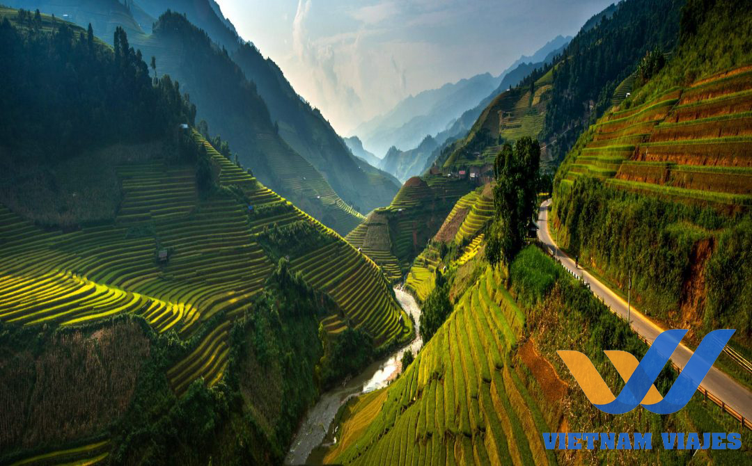 terraza de arroz en mu cang chai vietnam