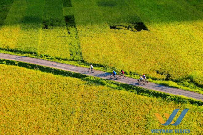 cosas para hacer en Ninh Binh