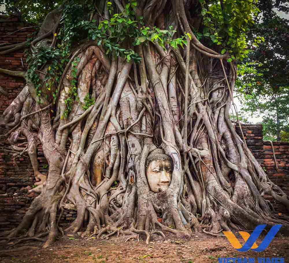 qué hacer en tailandia