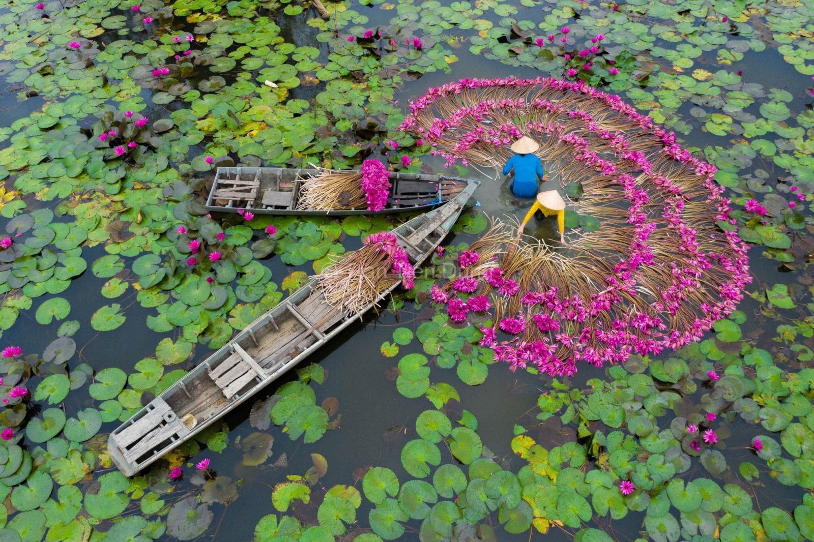 VIAGEM AO VIETNAME EM REGULAR  - 12 DIAS 11 NOITES 