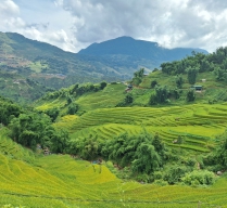 Viaje Regular a Vietnam en 10 diás - 9 noches